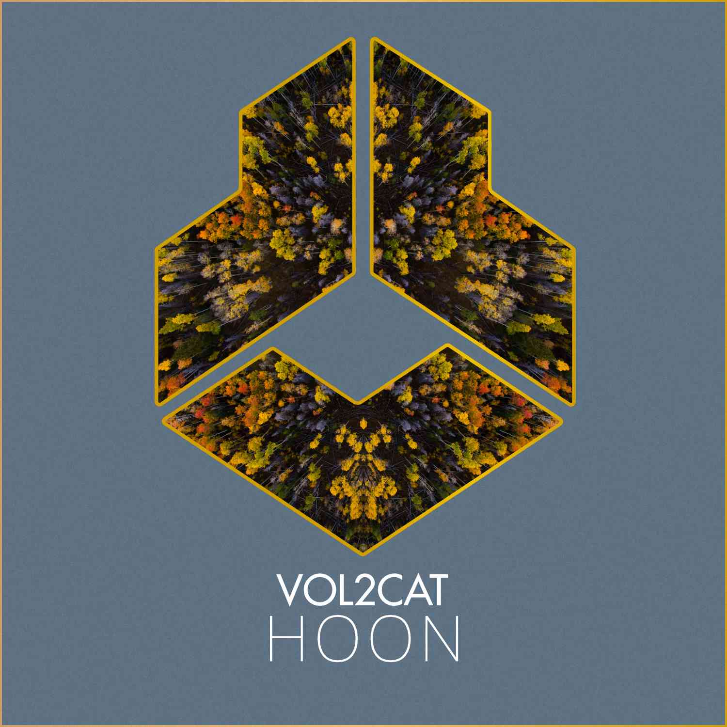 Vol2Cat - Hoon